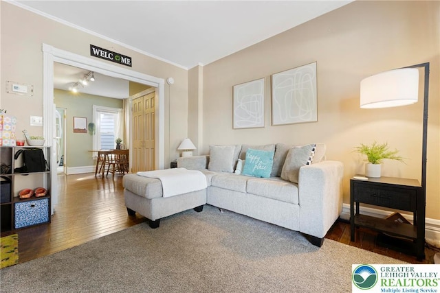 343 N 16th St, Allentown City, PA 18102 - carpeted living room featuring baseboards, hardwood / wood-style flooring, and ornamental molding