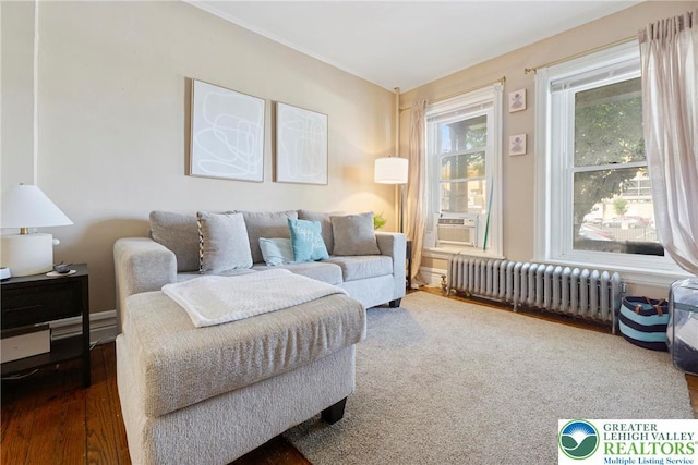 343 N 16th St, Allentown City, PA 18102 - living area with radiator heating unit, wood finished floors, and cooling unit