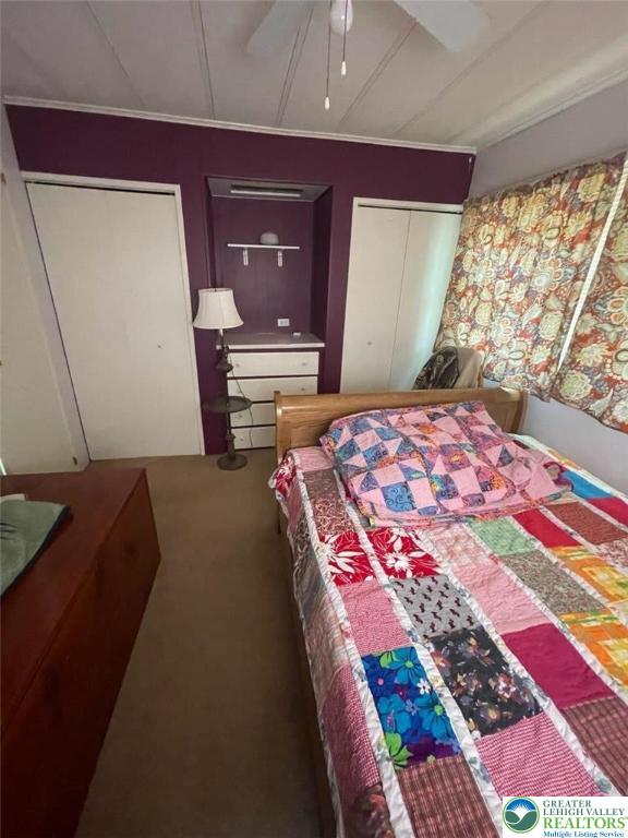 10 Springridge Rd, Moore Twp, PA 18014 - bedroom with carpet and ceiling fan