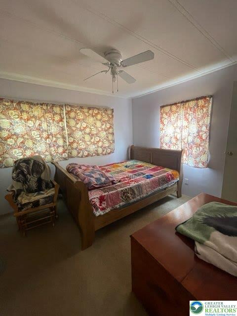 10 Springridge Rd, Moore Twp, PA 18014 - bedroom featuring carpet floors and ceiling fan