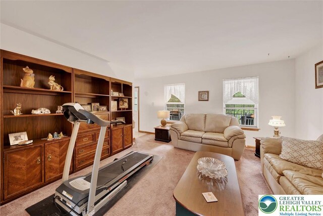 146 Bernadette Dr, Pike, PA 18328 - view of carpeted living room