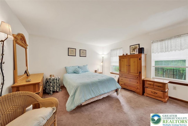 146 Bernadette Dr, Pike, PA 18328 - bedroom with light carpet and multiple windows