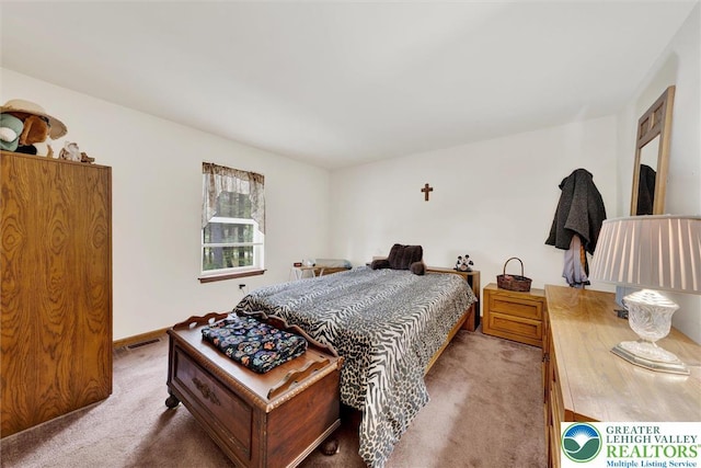 146 Bernadette Dr, Pike, PA 18328 - bedroom with carpet flooring