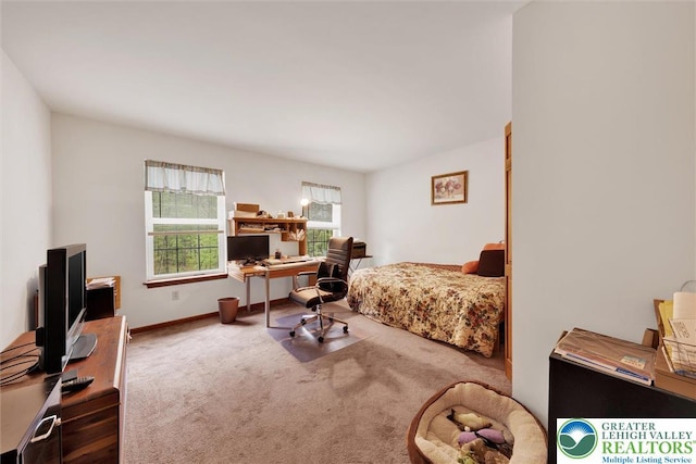 146 Bernadette Dr, Pike, PA 18328 - bedroom with an office area, carpet floors, and baseboards