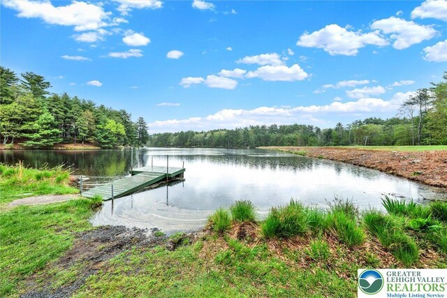 146 Bernadette Dr, Pike, PA 18328 - dock area featuring a forest view and a water view