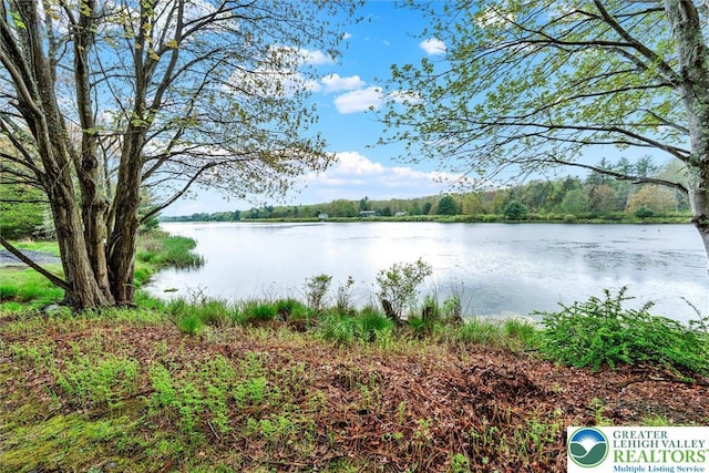146 Bernadette Dr, Pike, PA 18328 - water view featuring a forest