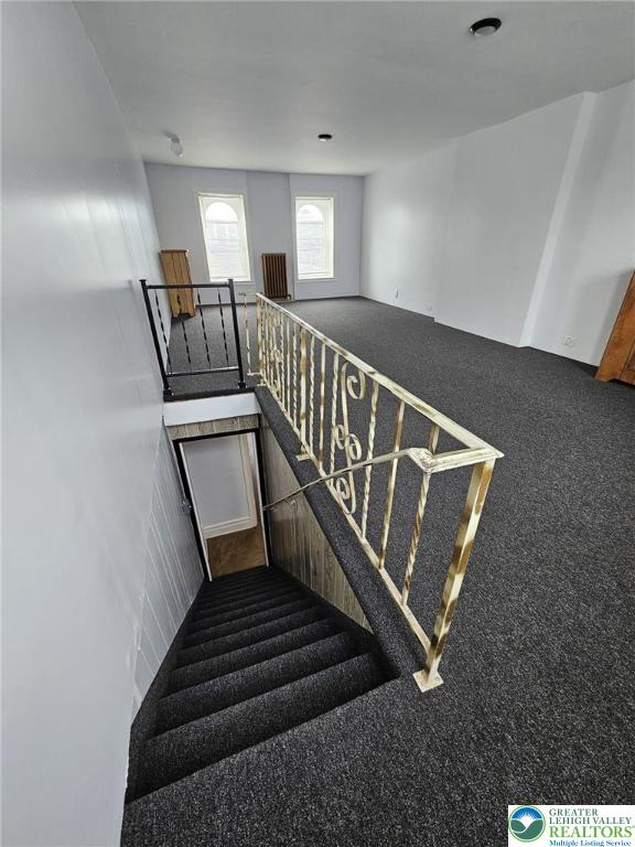 511 N 8th St, Allentown City, PA 18102 - stairway with carpet flooring