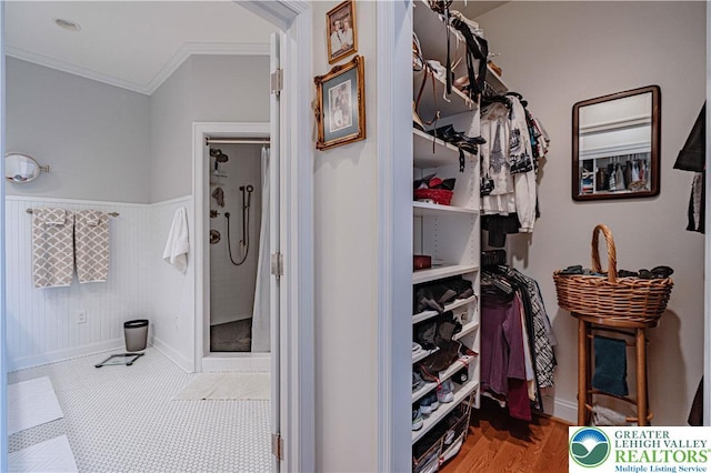 538 Parkside Ct, Allentown City, PA 18104 - view of walk in closet