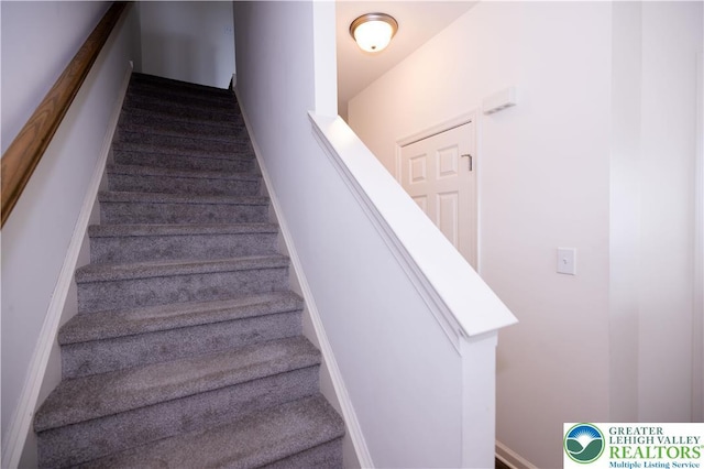 17 Timber Trl, Easton, PA 18045 - photo 12