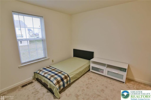 9 Krocks Rd, Upper Macungie Twp, PA 18104 - bedroom with carpet floors and baseboards
