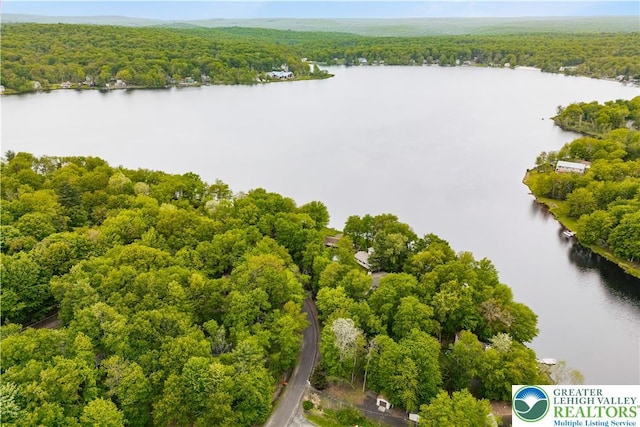 105 Honovi Dr, Tobyhanna Twp, PA 18347 - drone / aerial view of a forest and a nearby body of water