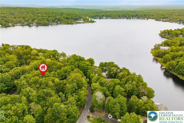 105 Honovi Dr, Tobyhanna Twp, PA 18347 - bird's eye view of a forest and a large body of water