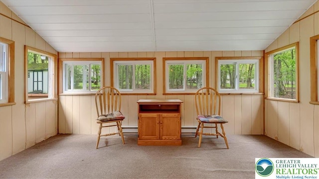 54 Indian Trl, Penn Forest Township, PA 18229 - sunroom with plenty of natural light, lofted ceiling, carpet, wooden walls, and a baseboard heating unit