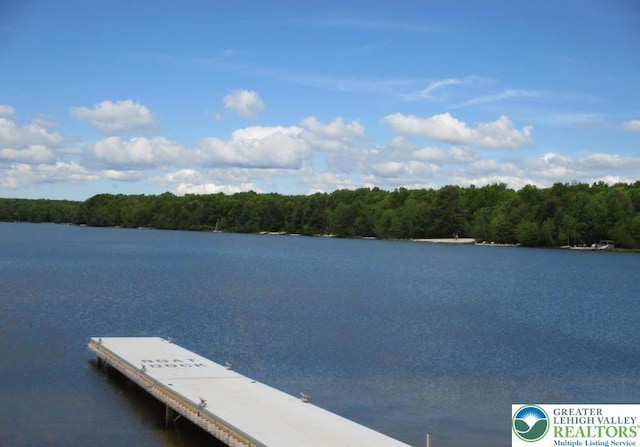 54 Indian Trl, Penn Forest Township, PA 18229 - dock with a water view and a forest view