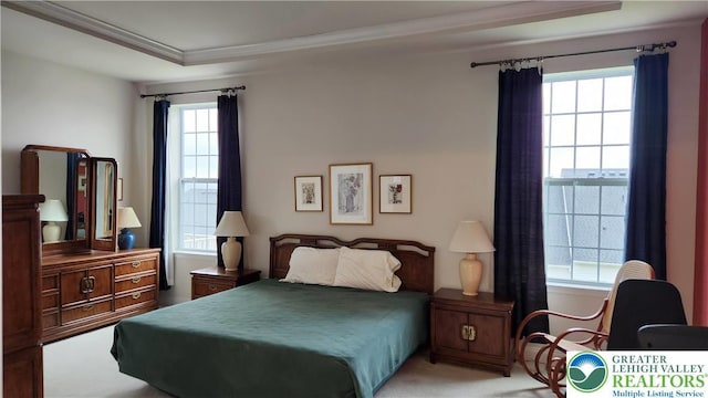 4082 Rutz Ln, South Whitehall Twp, PA 18104 - bedroom with crown molding, carpet, and a raised ceiling