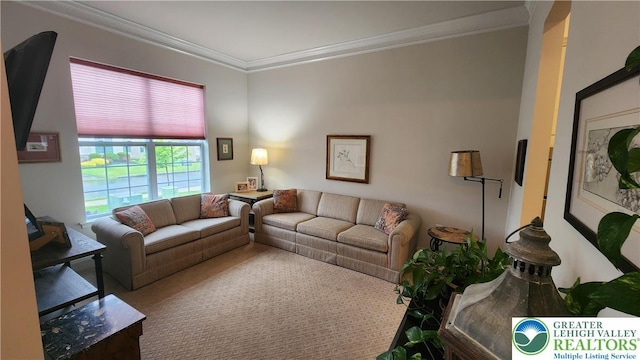 4082 Rutz Ln, South Whitehall Twp, PA 18104 - living room featuring crown molding