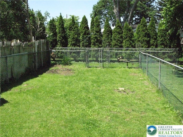 1158 Driver Pl, Lower Macungie Twp, PA 18106 - view of yard
