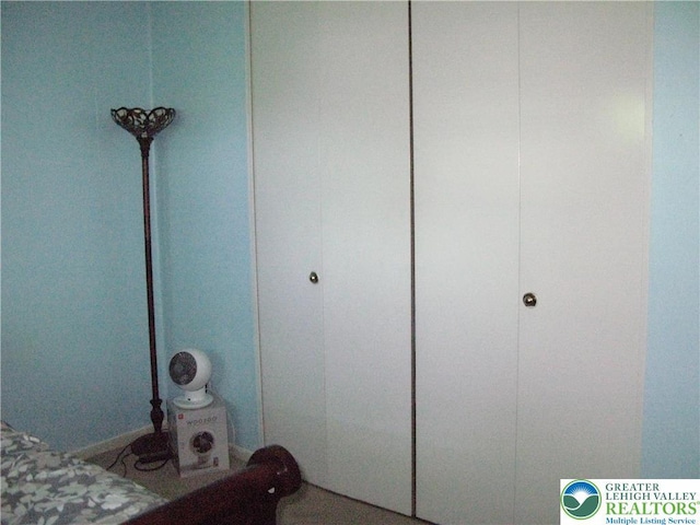 1158 Driver Pl, Lower Macungie Twp, PA 18106 - view of bedroom
