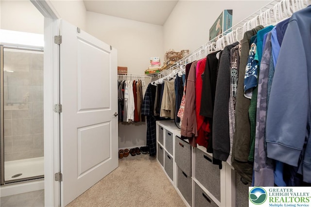 7911 Schaefer Crst, Upper Macungie Twp, PA 18031 - view of walk in closet