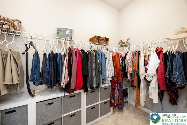 7911 Schaefer Crst, Upper Macungie Twp, PA 18031 - spacious closet featuring carpet floors