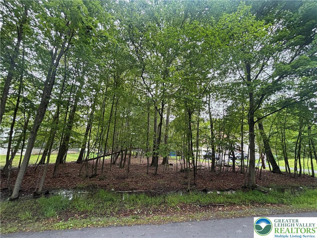 135 Heather Hill Rd, Pike, PA 18328 - view of yard