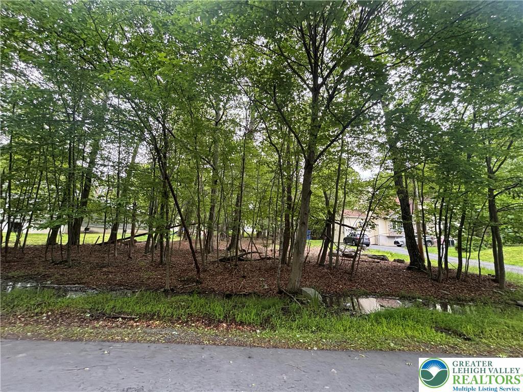 135 Heather Hill Rd, Pike, PA 18328 - view of yard