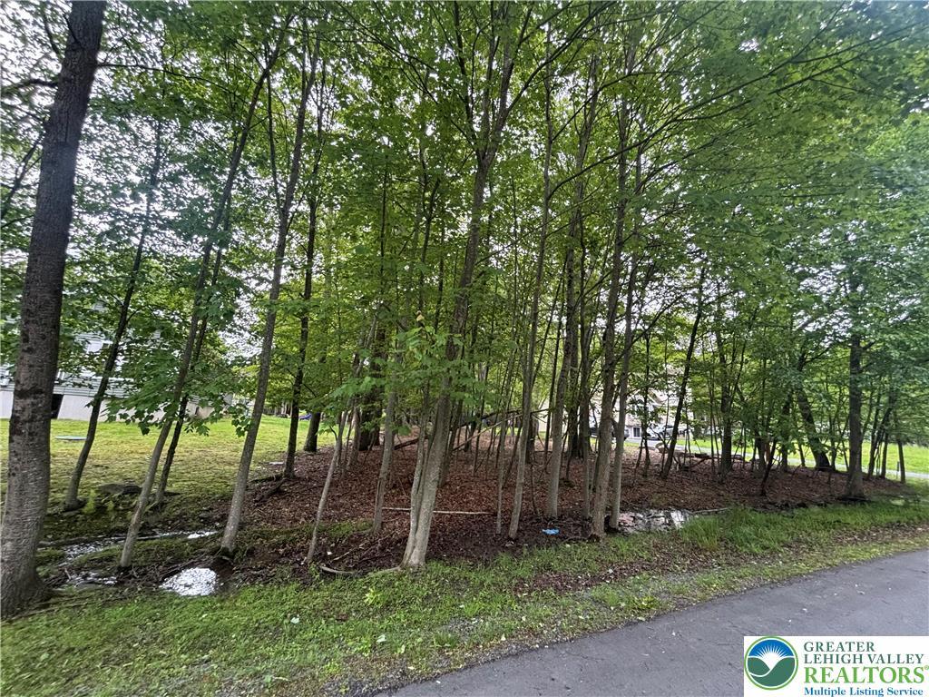 135 Heather Hill Rd, Pike, PA 18328 - view of nature