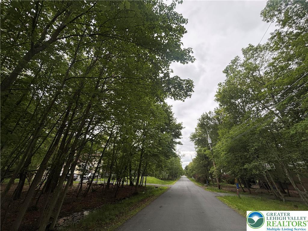 135 Heather Hill Rd, Pike, PA 18328 - view of asphalt street