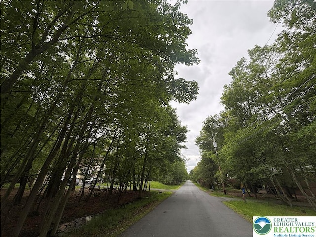 135 Heather Hill Rd, Pike, PA 18328 - view of asphalt street