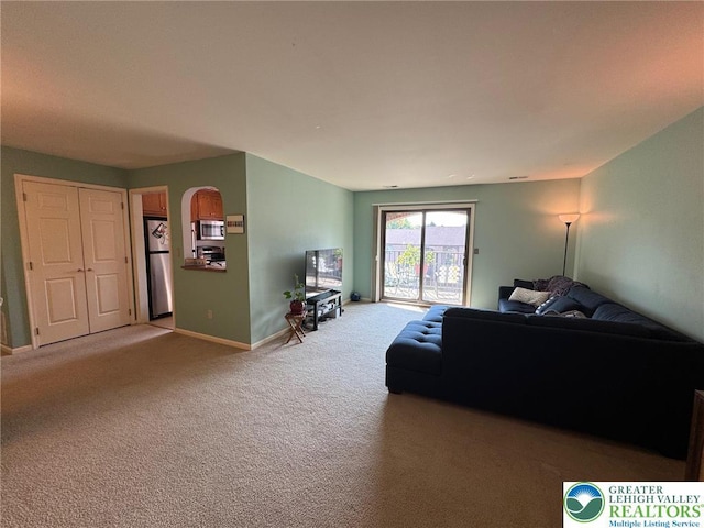 895 Cold Spring Rd Unit 12, Lower Macungie Twp, PA 18103 - carpeted living area featuring baseboards and arched walkways