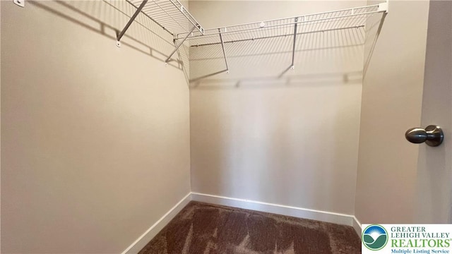 4904 Brookside Ct, Upper Saucon Twp, PA 18036 - spacious closet with dark carpet