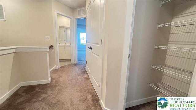 4904 Brookside Ct, Upper Saucon Twp, PA 18036 - corridor with carpet and baseboards