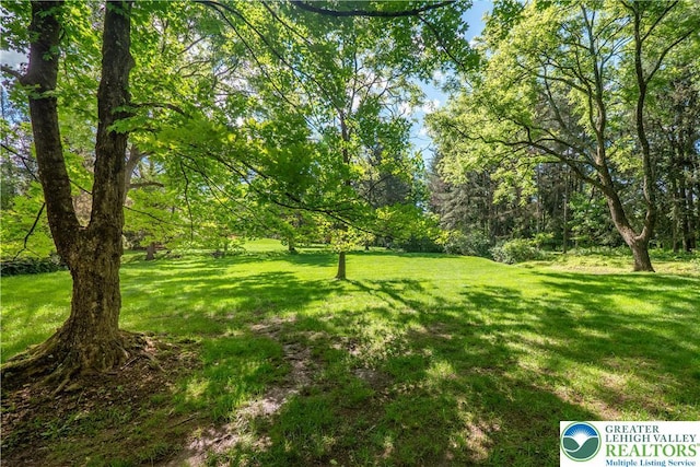 1580 Old Bethlehem Rd, Springfield Twp, PA 18951 - view of green lawn