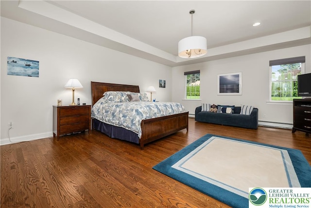 222 Danbury Dr, Bushkill Twp, PA 18064 - bedroom featuring a baseboard heating unit, wood finished floors, a tray ceiling, multiple windows, and recessed lighting