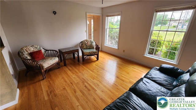 391 W Mayfield Cir, Lower Nazareth Twp, PA 18020 - living area featuring light wood-type flooring, plenty of natural light, and baseboards
