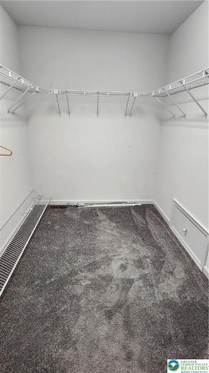 391 W Mayfield Cir, Lower Nazareth Twp, PA 18020 - walk in closet featuring carpet floors