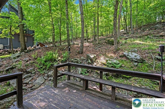 6061 Decker Rd, Lehman Twp, PA 18324 - photo 25
