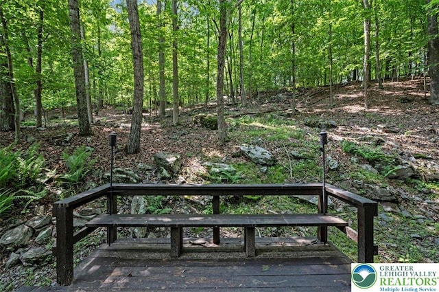 6061 Decker Rd, Lehman Twp, PA 18324 - photo 26