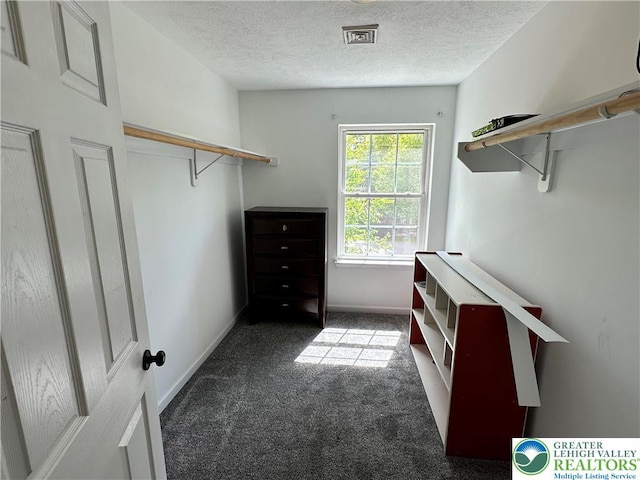 7190 Rimrock Dr, Coolbaugh Twp, PA 18466 - walk in closet with carpet