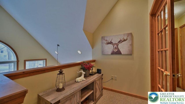 97 Lucretius Trl, Penn Forest Twp, PA 18210 - hall featuring vaulted ceiling and light carpet