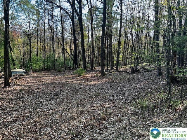Jefferson St, Franklin Twp, PA 18235 - view of tree filled area