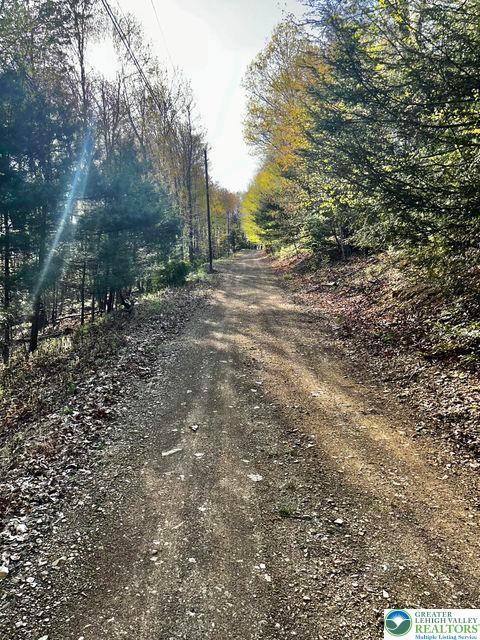 Jefferson St, Franklin Twp, PA 18235 - view of dirt / gravel road