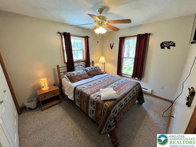 174 Teddyuscung Trl, Penn Forest Twp, PA 18210 - bedroom with baseboard heating, multiple windows, carpet flooring, and baseboards