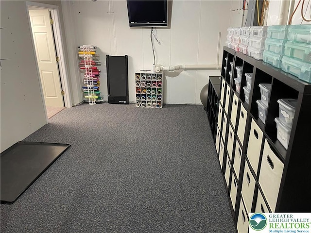 968 Renaldi Rd, Bushkill Twp, PA 18091 - view of workout area