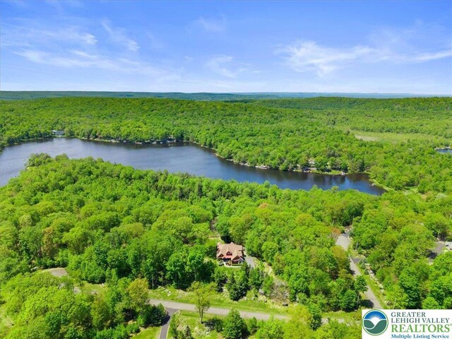 127 Timber Lake Dr, Barrett Twp, PA 18325 - bird's eye view of a heavily wooded area and a nearby body of water