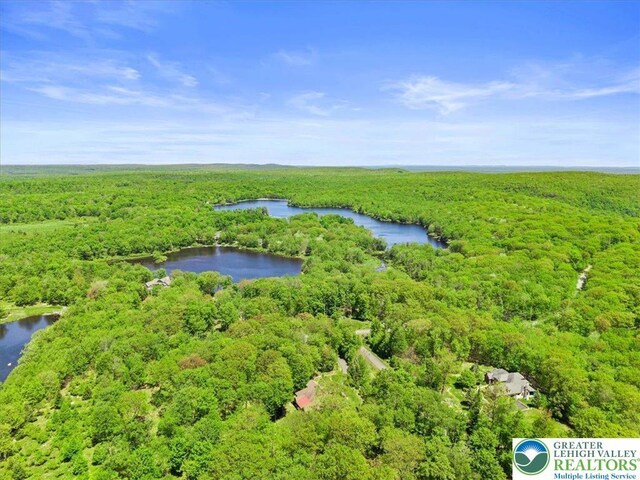 127 Timber Lake Dr, Barrett Twp, PA 18325 - drone / aerial view of a forest and a nearby body of water