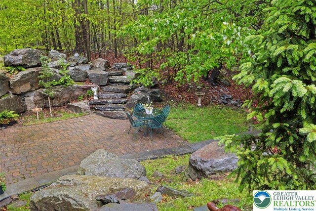 127 Timber Lake Dr, Barrett Twp, PA 18325 - view of yard with a patio