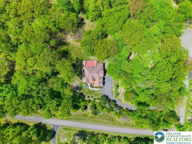 127 Timber Lake Dr, Barrett Twp, PA 18325 - view from above of property