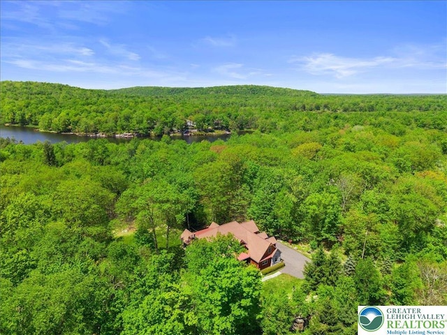 127 Timber Lake Dr, Barrett Twp, PA 18325 - view of subject property featuring a forest and a nearby body of water