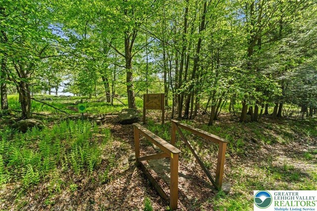 127 Timber Lake Dr, Barrett Twp, PA 18325 - view of yard
